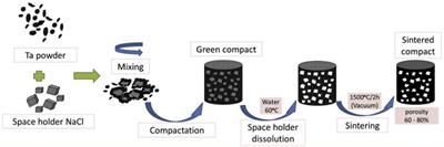 Preparation, modification, and clinical application of porous tantalum scaffolds